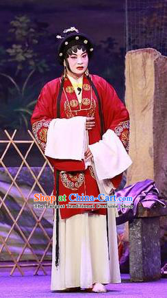 Chinese Cantonese Opera Elderly Female Garment Costumes and Headdress Traditional Guangdong Opera Apparels Dame Dress