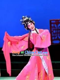 Chinese Cantonese Opera Hua Tan Garment Yi Shui Han Costumes and Headdress Traditional Guangdong Opera Actress Apparels Princess Wan Lan Dress