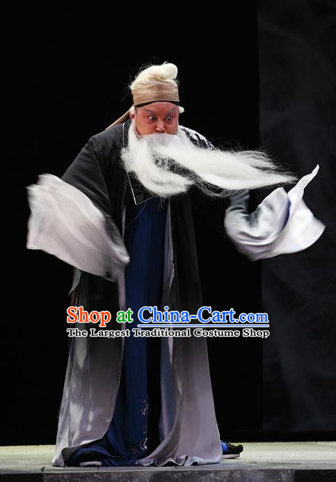 Cao Min Song Shijie Chinese Sichuan Opera Civilian Apparels Costumes and Headpieces Peking Opera Highlights Old Scholar Garment Elderly Male Clothing
