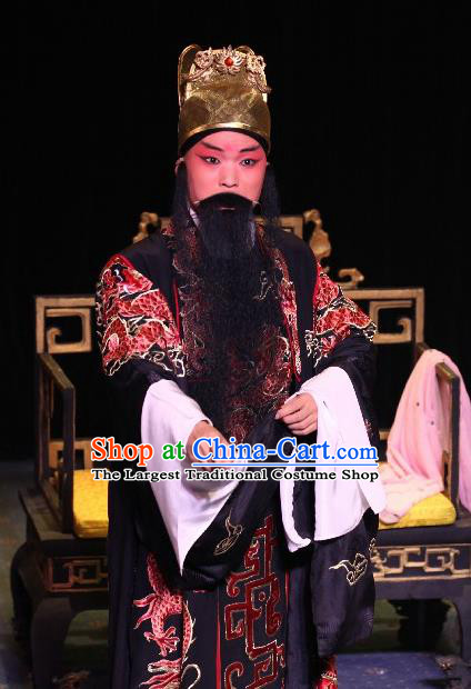 Tai Cheng Liu Chinese Bangzi Opera Elderly Male Apparels Costumes and Headpieces Traditional Hebei Clapper Opera Lord Garment King Xiao Yan Clothing