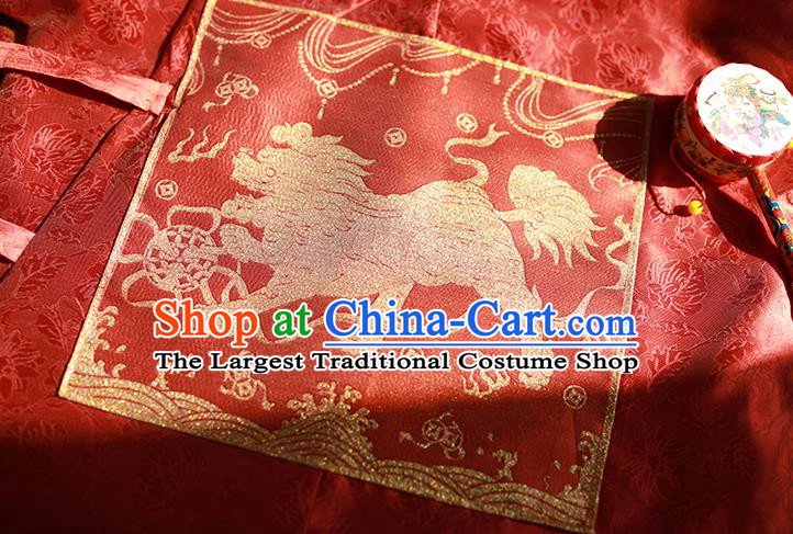 China Traditional Hanfu Dress Embroidered Clothing Ancient Ming Dynasty Winter Historical Costume for Patrician Lady