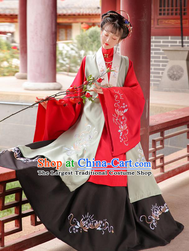 Traditional Chinese Ming Dynasty Hanfu Clothing Ancient Rich Female Embroidered Costumes Full Set
