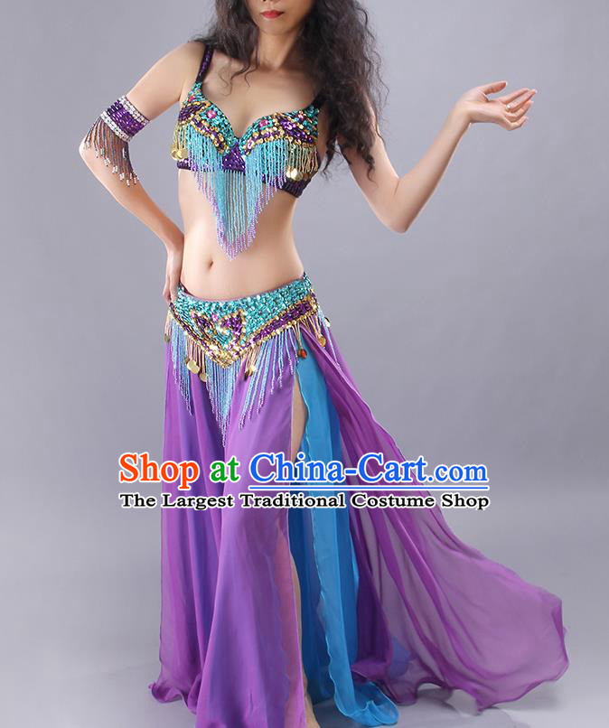 Traditional Asian Indian Belly Dance Clothing India Raks Sharki Tassel Bra and Purple Skirt Outfits