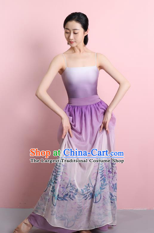 China Classical Dance Lilac Dress Clothing Stage Performance Printing Costume
