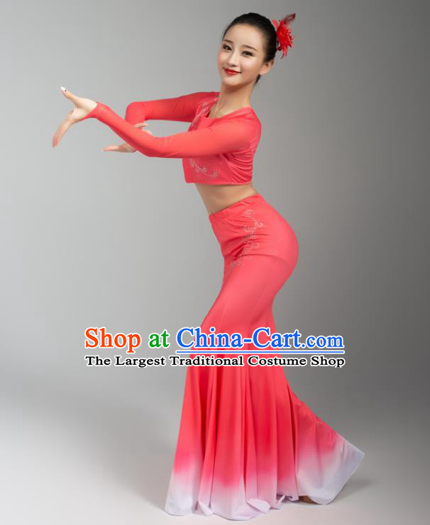 China Yunnan Ethnic Folk Dance Pink Blouse Skirt Outfits Traditional Dai Nationality Peacock Dance Clothing