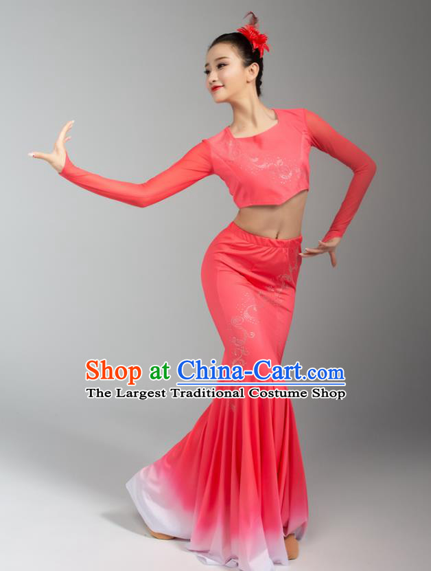 China Yunnan Ethnic Folk Dance Pink Blouse Skirt Outfits Traditional Dai Nationality Peacock Dance Clothing