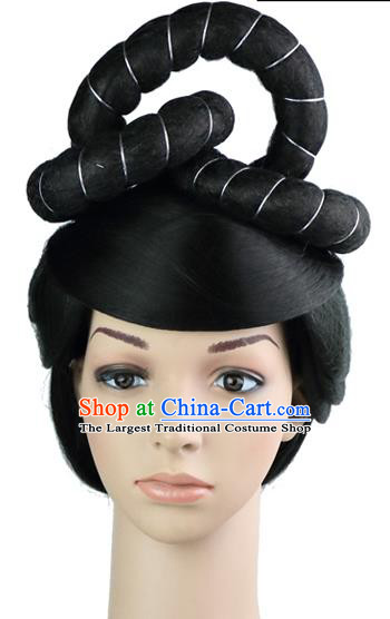 Chinese Ancient Imperial Empress Hair Chignon Classical Dance Hairpieces Tang Dynasty Court Queen Wigs Sheath