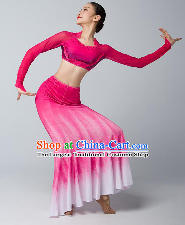 China Dai Nationality Folk Dance Clothing Yunnan Ethnic Stage Performance Garments Peacock Dance Rosy Dress