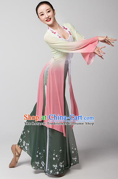 Top Chinese Classical Dance Dress Woman Group Fan Dance Garment Costume Traditional Stage Performance Clothing