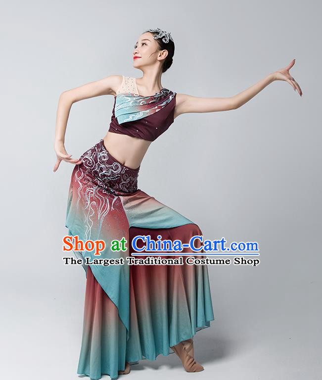 China Peacock Dance Maroon Dress Dai Nationality Folk Dance Clothing Yunnan Ethnic Stage Performance Garments