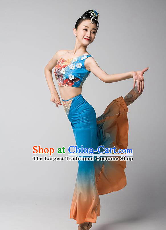China Yunnan Ethnic Stage Performance Garments Peacock Dance Blue Dress Dai Nationality Folk Dance Clothing