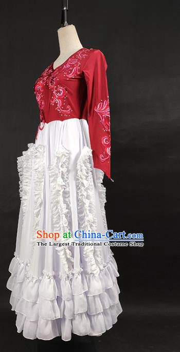 China Kazakh Nationality Stage Performance Clothing Ethnic Female Dance Garments Xinjiang Minority Folk Dance Dress