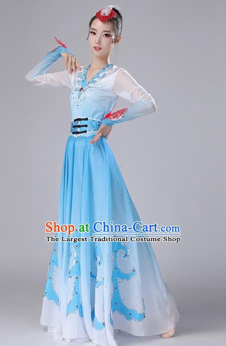 Top Chinese Woman Swan Dance Garment Costume Traditional Dance Performance Clothing Classical Dance Blue Dress Outfits