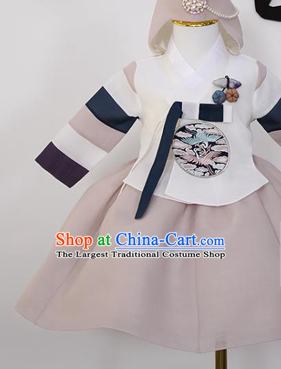 Traditional Korean Baby Princess Hanbok Clothing Children Girl White Blouse and Khaki Dress Fashion Apparels