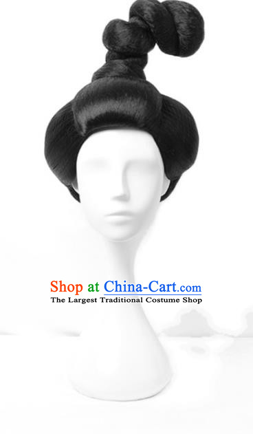 Chinese Traditional Hanfu Dance Wigs Chignon Ancient Courtesan Headdress Tang Dynasty Imperial Concubine Hairpieces
