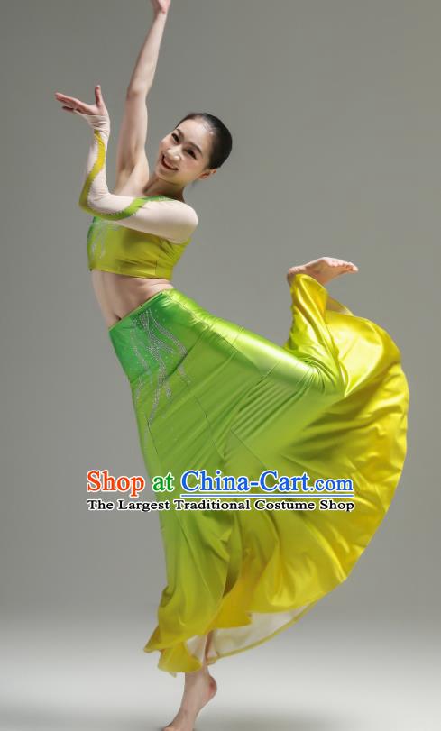 Chinese Peacock Dance Costumes Ethnic Woman Garments Dai Minority Performance Green Dress Outfits Yunnan Nationality Clothing