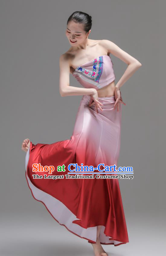 Chinese Yunnan Nationality Clothing Peacock Dance Costumes Ethnic Woman Garments Dai Minority Performance Pink Dress Outfits