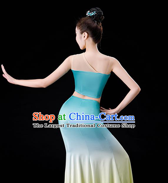 Chinese Yunnan Folk Dance Garment Costumes Ethnic Peacock Dance Blue Dress Outfits Dai Nationality Female Performance Clothing
