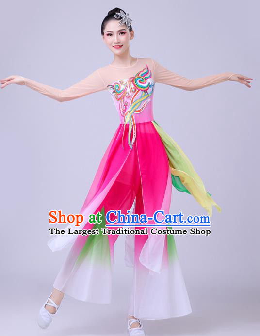 China Fan Dance Garment Costume Classical Dance Dress Stage Performance Clothing Lotus Dance Attires