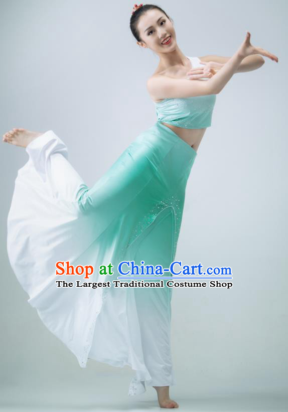 Chinese Stage Performance Garment Peacock Dance Clothing Dai Nationality Pavane Costume Classical Dance Green Dress