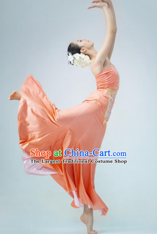 Chinese Classical Dance Dress Stage Performance Garment Peacock Dance Clothing Dai Nationality Pavane Costume