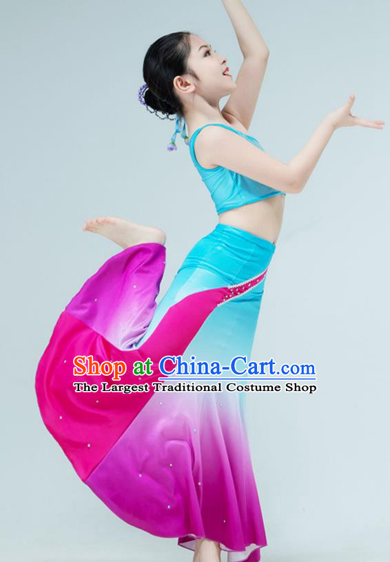 Chinese Classical Dance Clothing Stage Performance Costume Children Peacock Dance Dress Dai Nationality Dance Garment