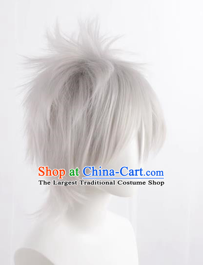 Silver Gray Hatake Kakashi Style Fluffy Men's Short Hair Cosplay Wig