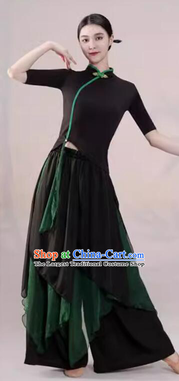 China Modern Dance Black and Green Outfit Classical Dance Costume Woman Dance Training Clothing