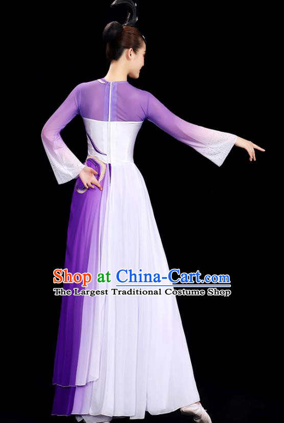 Chinese Fan Dance Show Costume Yangko Dance Purple Outfit Folk Dance Clothing Women Dancing Competition Fashion