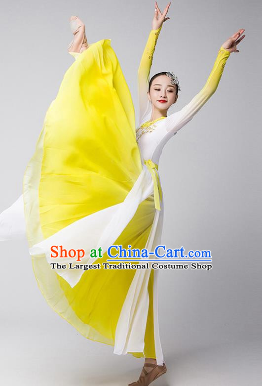 Group Dance Modern Dance Costume Elegant Large Skirt Performance Costume