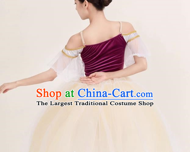 Long Skirt Lace Palace Lace Dance Skirt Performance Costume Stage Costume