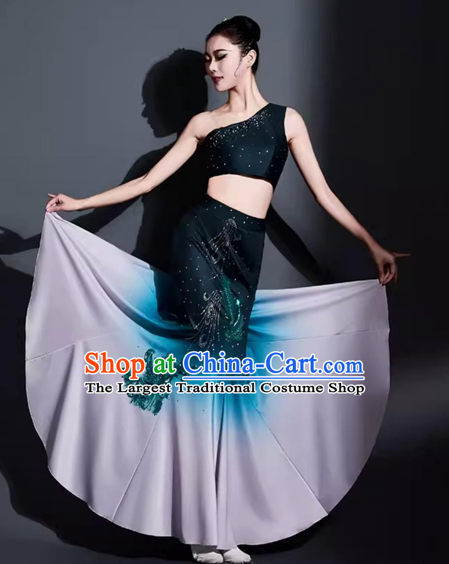 Traditional Yunnan Ethnic Performance Clothing China Peacock Dance Dance Dress Chinese Dai Nationality Dance Costume