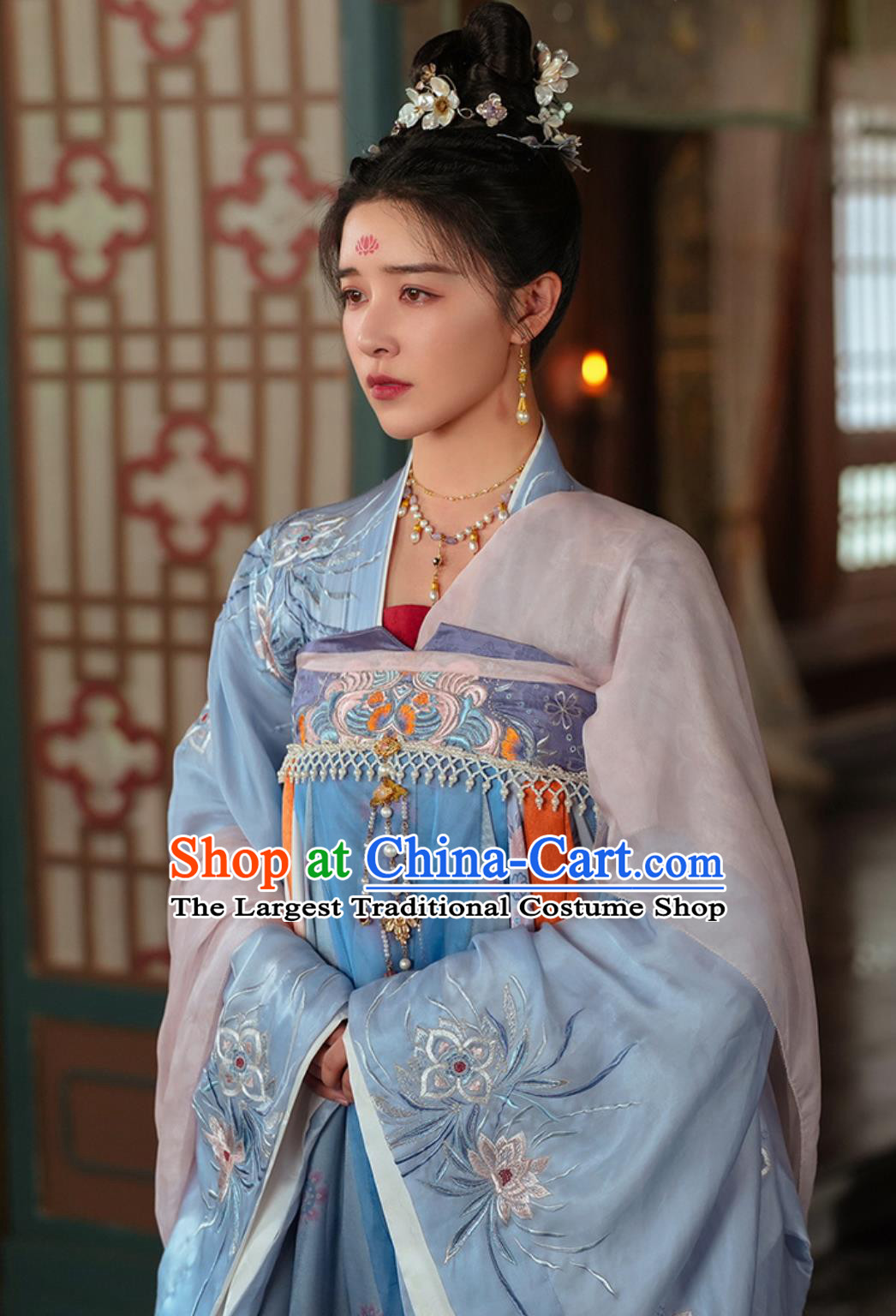 Ancient China Noble Lady Clothing Traditional Chinese Tang Dynasty Woman Hanfu Dress TV Series Drama Go East Yuchi Hua Costume