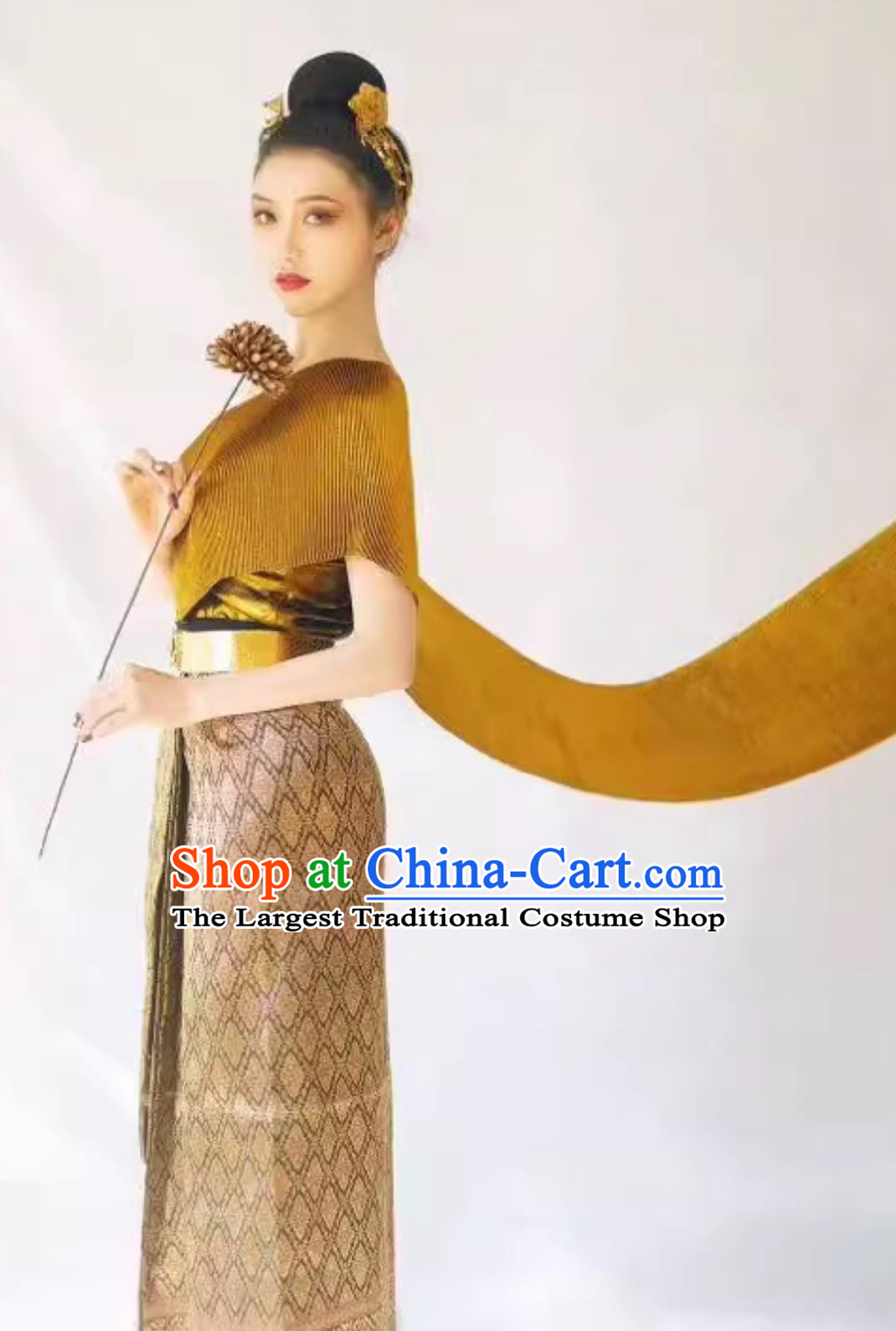 Thailand Traditional Golden Top and Brown Skirt China Dai Ethnic Dress Xishuangbanna Festival Clothing