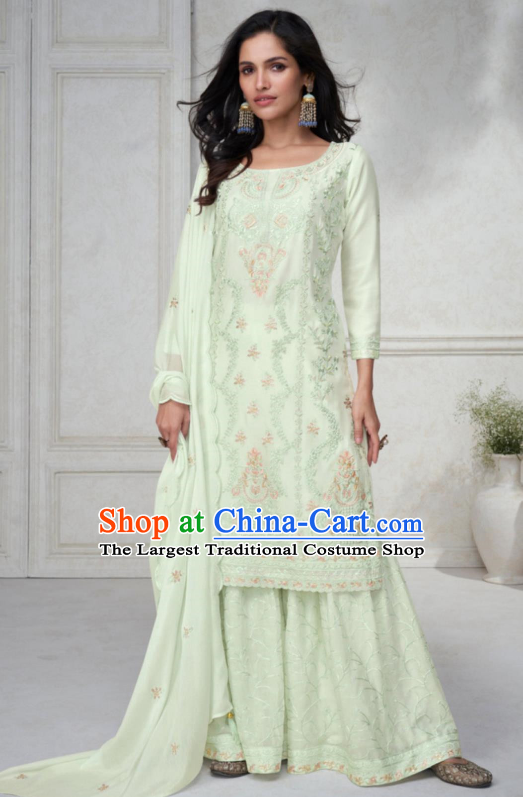 Indian National Clothing Light Green Punjabi Outfit Traditional India Woman Costume