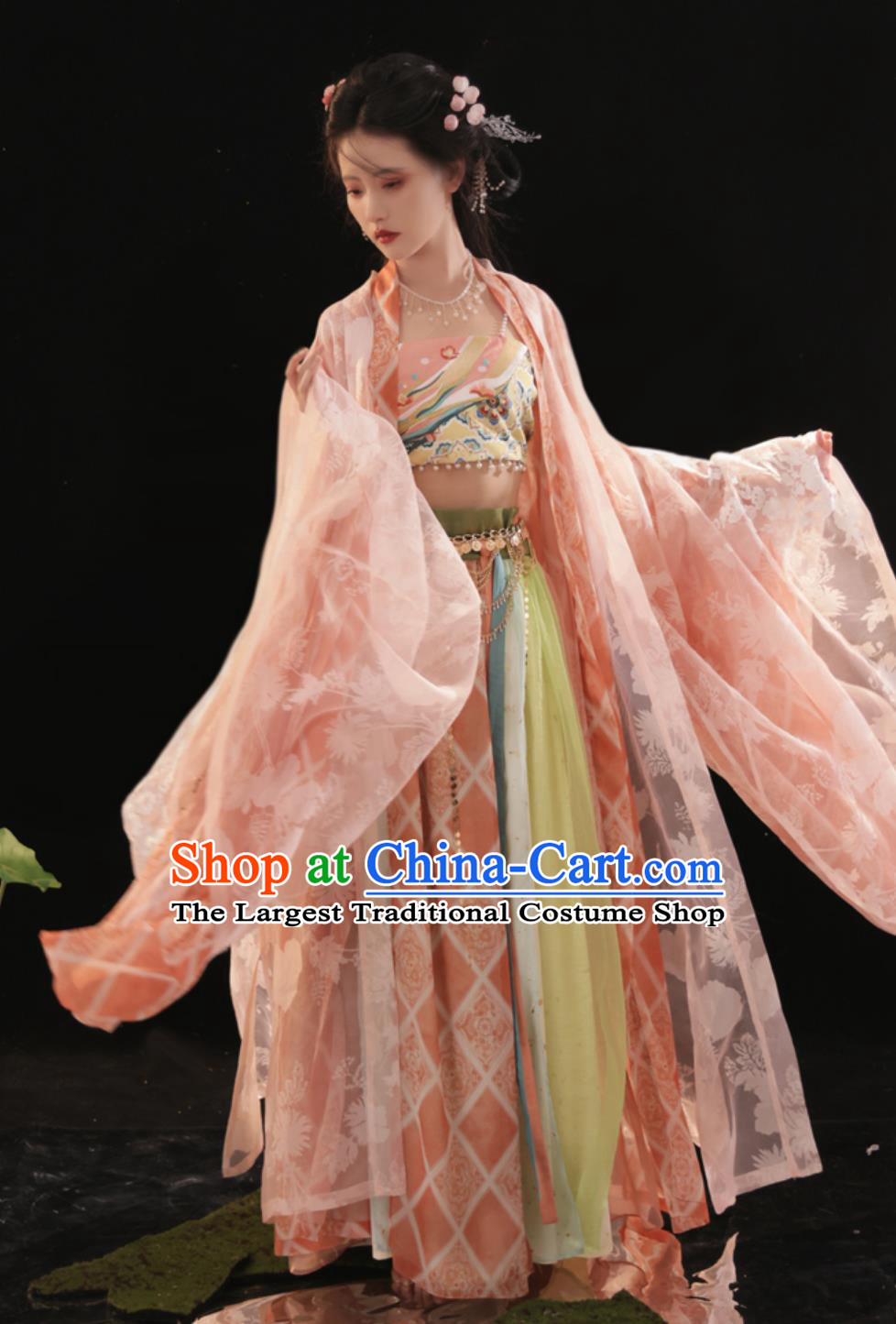 Chinese Tang Dynasty Princess Dress Traditional Hanfu Ancient China Fairy Clothing