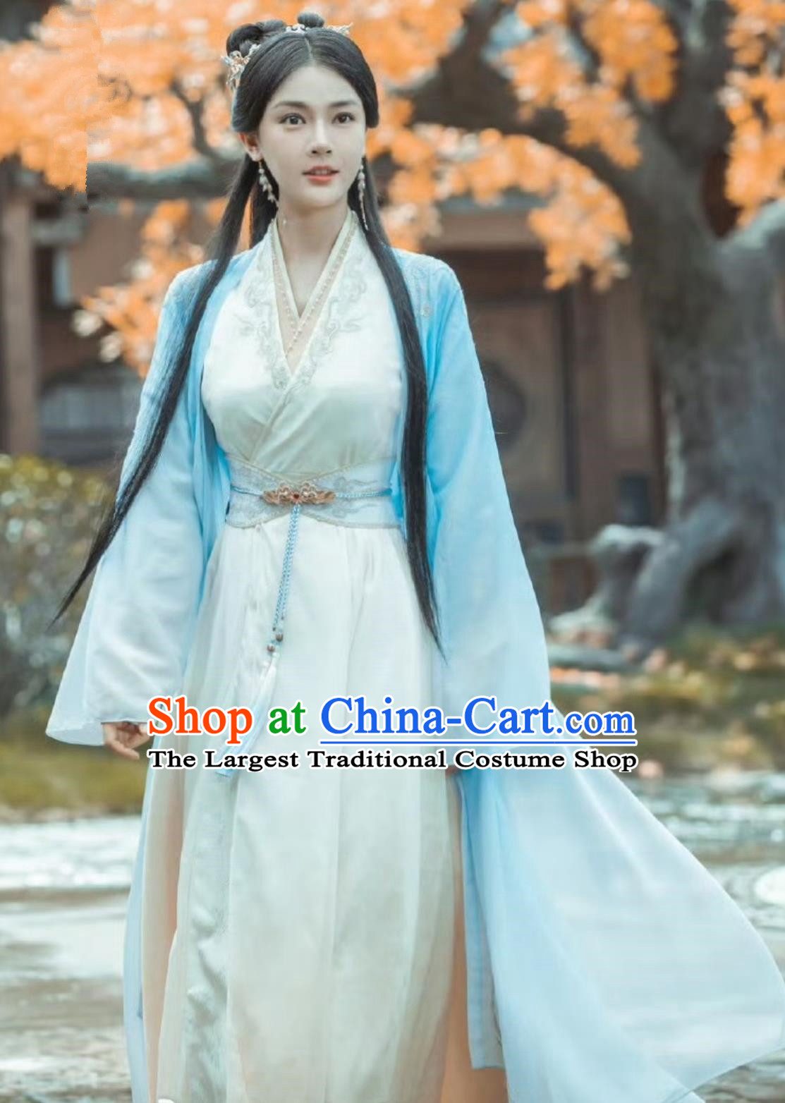 Ancient China Noble Lady Clothing Chinese TV Drama Dashing Youth Chivalrous Woman Li Xin Yue Garment Costume