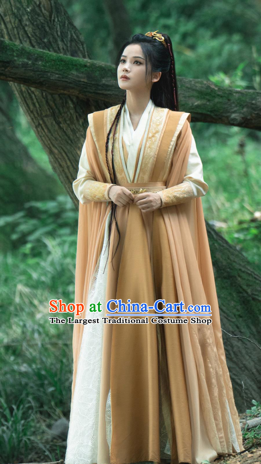 Ancient China Female Swordsman Clothing Chinese TV Series Fox Spirit Matchmaker Red Moon Pact Fu Chen Dress