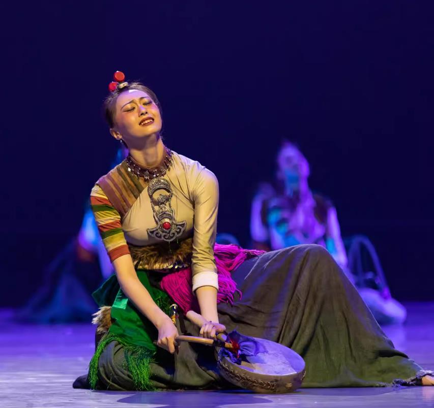 Tibetan Dance Performance Costume Women Mystic Rhythm Drum Dance Clothing Chinese Zang Minority Nationality Dance Blouse and Skirt