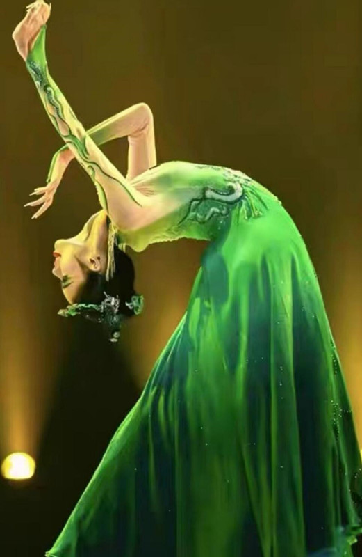 Chen Xi Wei Lu Dance Costume Tao Li Cup Mongolian Dance Performance Ethnic Attire