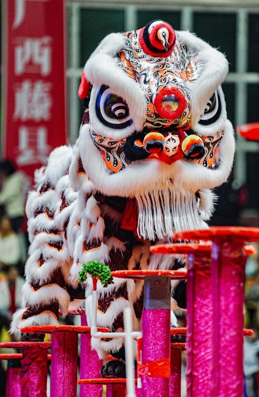 White Wool Lion Dance Head Chinese Dancing Lion Equipment Clothing Handmade Fut San Lion Dance Costume