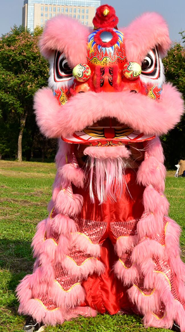 Adult Lion Dance Head Modern Dancing Lion Clothing Pink Wool Lion Dance Costume Full Set Chinese New Year Lion Dance Props