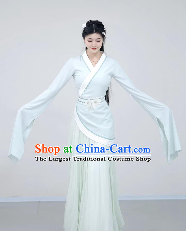 Handan Learning To Walk Chinese Classical Dance Costume Water Sleeve Dance Dress Han Tang Dance Clothing