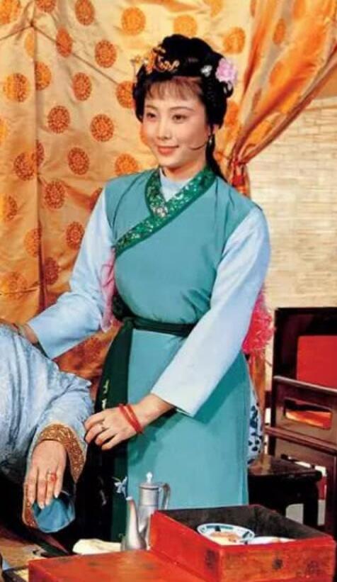 Chinese Drama A Dream in Red Mansions Yuan Yang Clothing Traditional Ming Dynasty Hanfu Dress Twelve Beauties of Jinling Ancient Servant Maid Costume