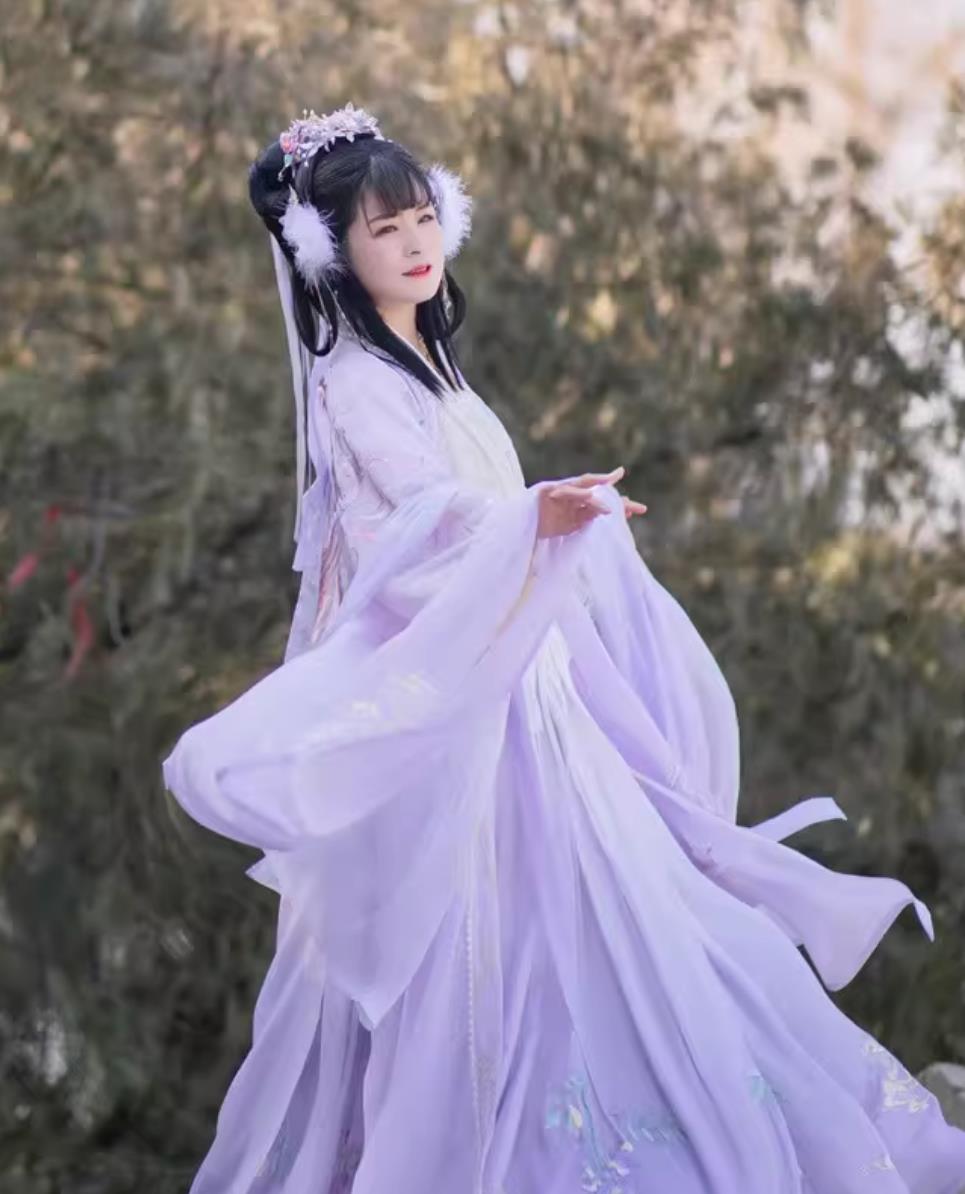Phoenix Wisteria Embroidered Hanfu Dress Chinese Song Dynasty Ruqun Complete Set