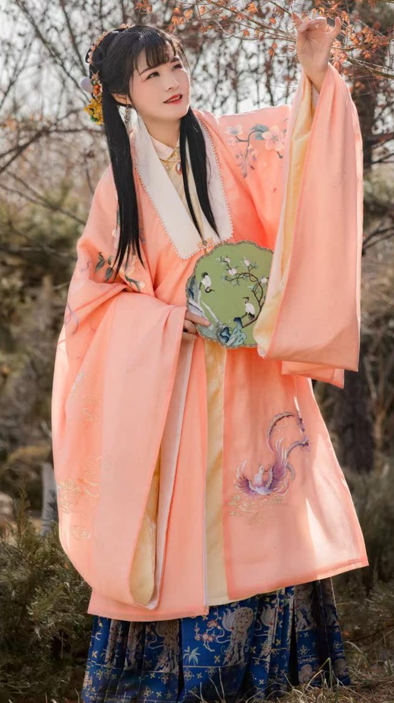 Ancient Chinese Embroidered Pink Cloak Ming Dynasty Phoenix Wisteria Hanfu Cape
