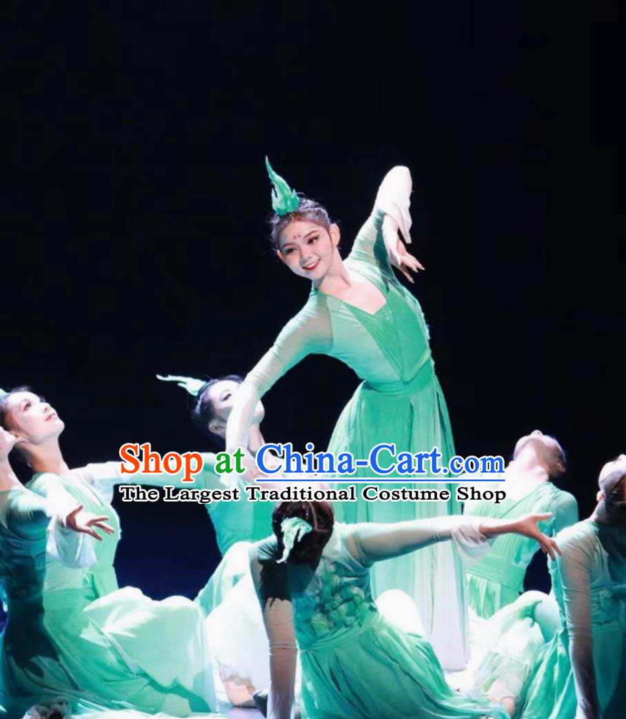 Classical Dance Performance Costume Chinese Women Stage Group Dance Attire