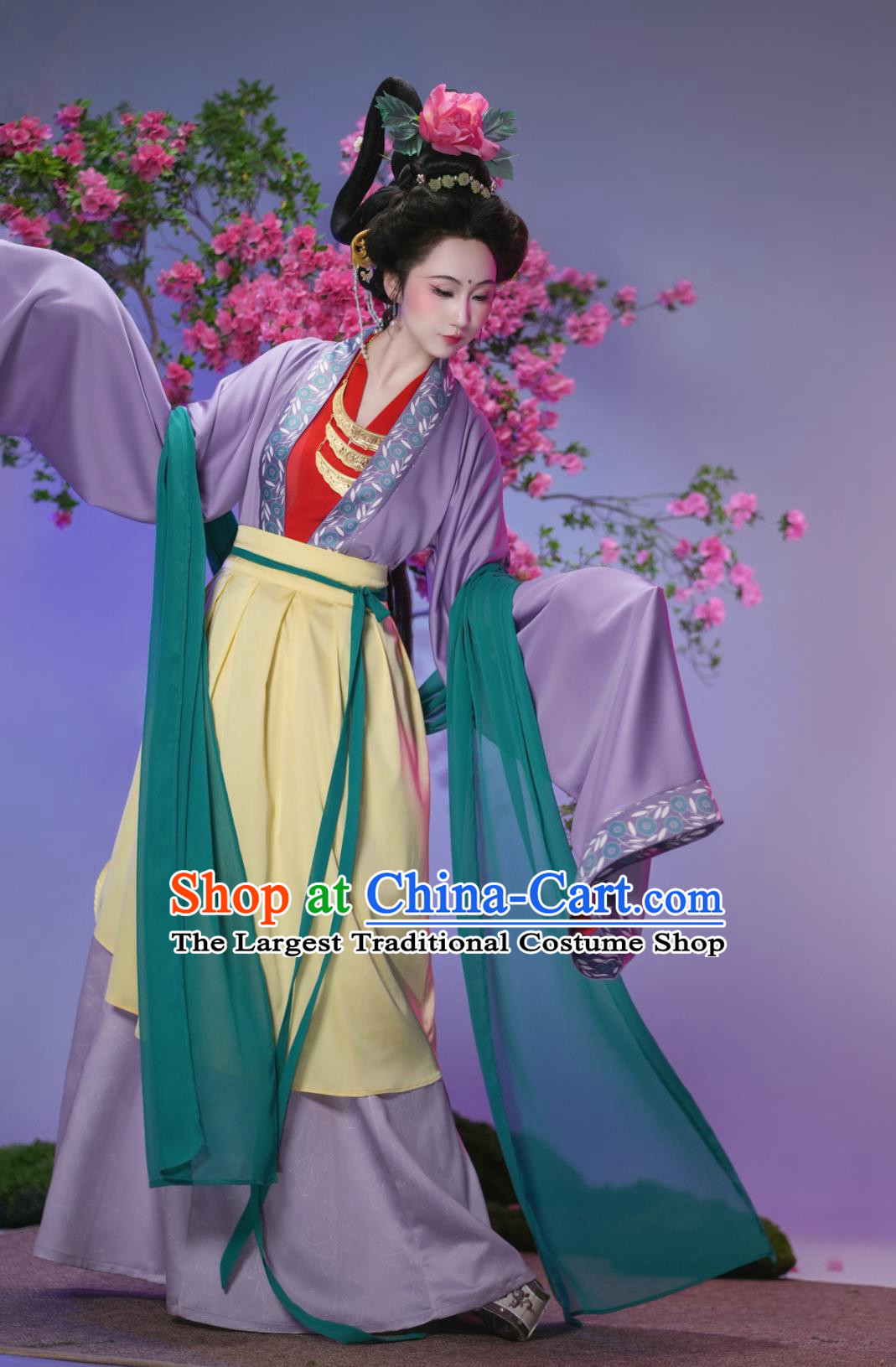 Late Song Dynasty Court Lady Hanfu Traditional Chinese Costumes Womens Purple Blouse Gored Skirt Complete Set
