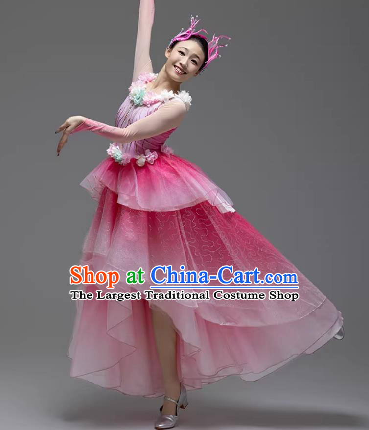 Peerless Beauty Performance Costume Pink Short Front Long Back Chiffon Dress